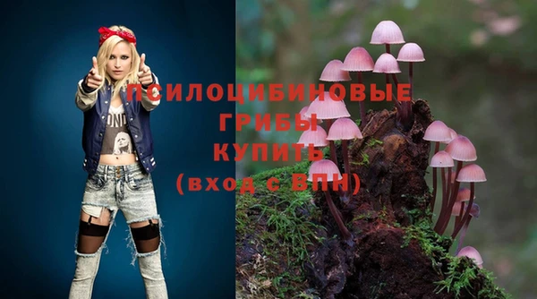 молекула духа Армянск
