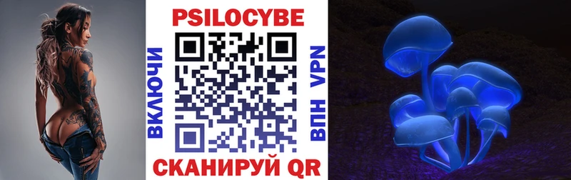 Псилоцибиновые грибы Cubensis Ахтубинск