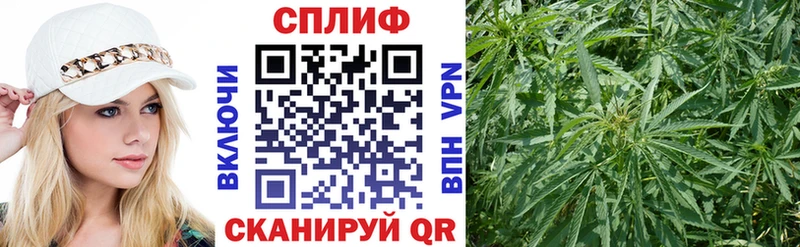 ссылка на мегу онион  Ахтубинск  Каннабис конопля 
